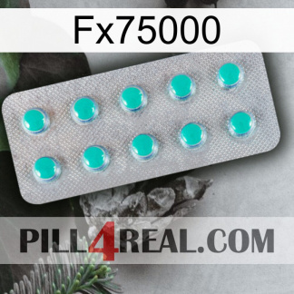 Fx75000 28